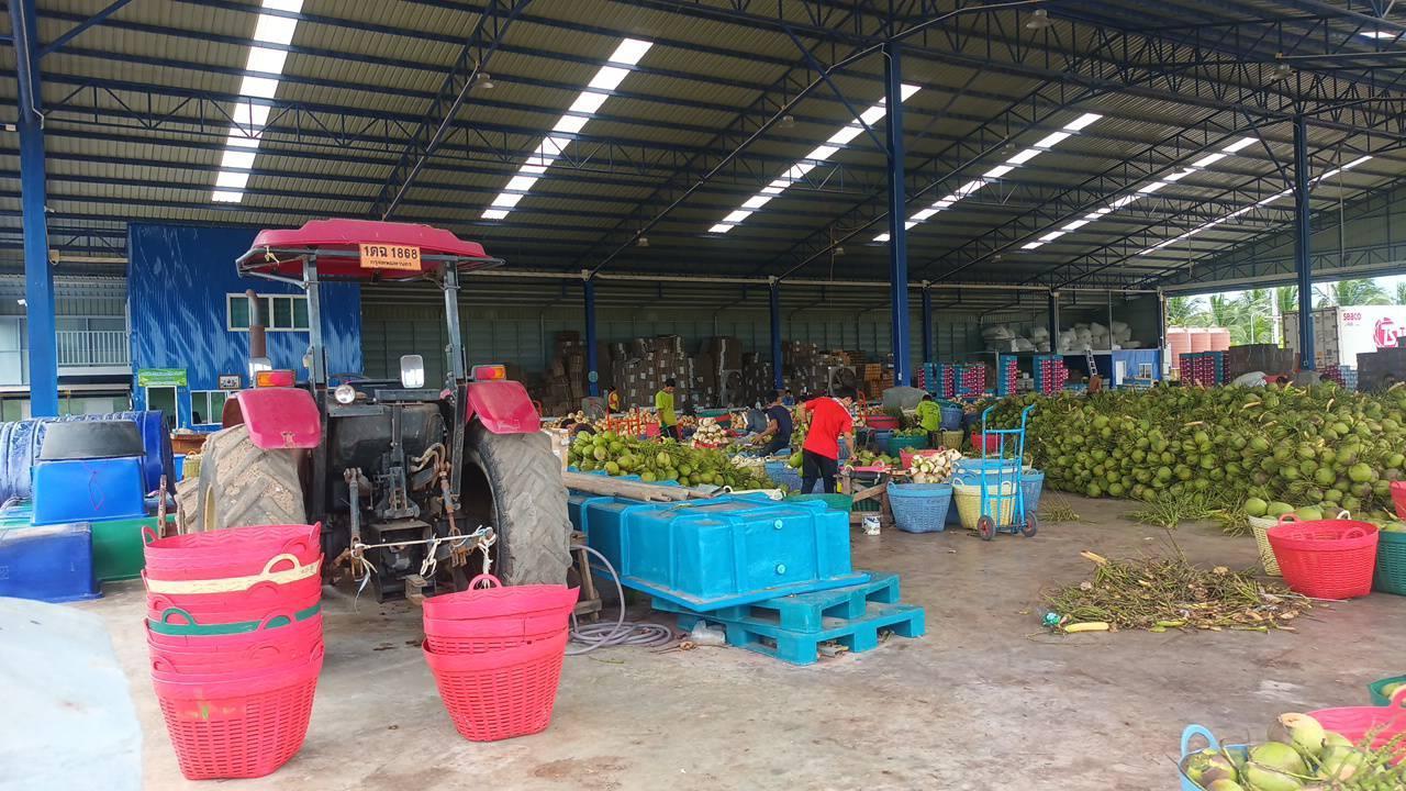 พื้นที่บรรจุและจัดเรียงสินค้า